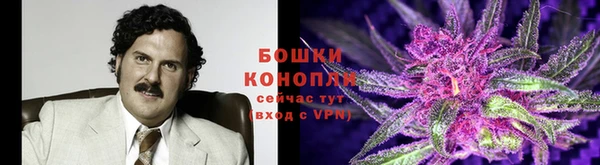 крисы Волоколамск