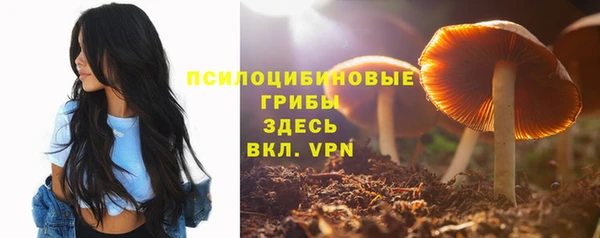 крисы Волоколамск