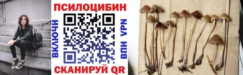 Псилоцибиновые грибы MAGIC MUSHROOMS  наркота  ссылка на мегу маркетплейс  Ковров 